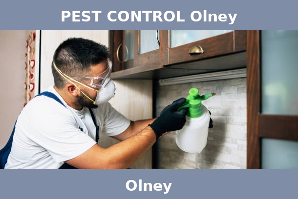 PEST CONTROL Olney